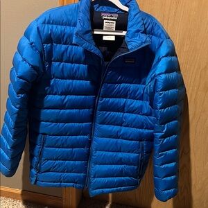 Patagonia Men's Vibrant Blue Puffer Jacket